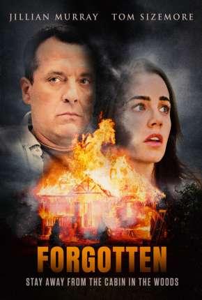 Capa para download torrent de Filme Forgotten - Legendado