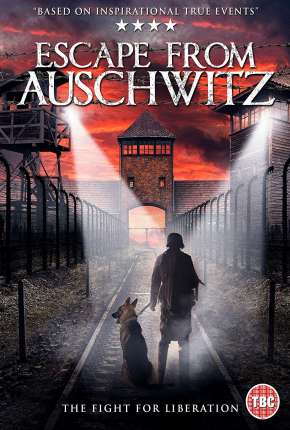 Capa do título semelhante: Fuga de Auschwitz