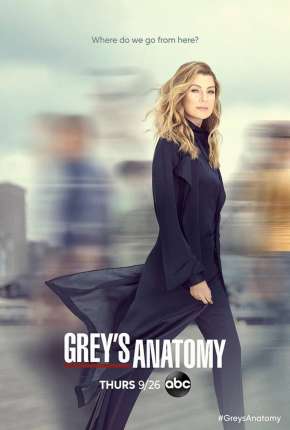 Capa para download torrent de Série Greys Anatomy - 16ª Temporada
