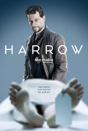 Capa para download torrent de Série Harrow - 2ª Temporada