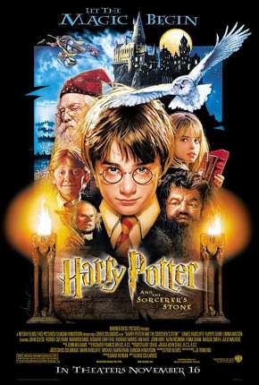 Capa para download torrent de Filme Harry Potter - Coleção - Versão Estendida