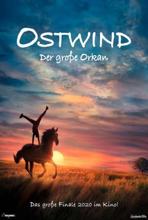 Capa do título semelhante: Hurricane - Livre como o Vento