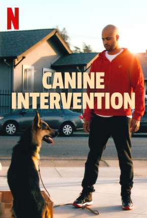 Capa do título semelhante: Intervenção Canina - 1ª Temporada Completa