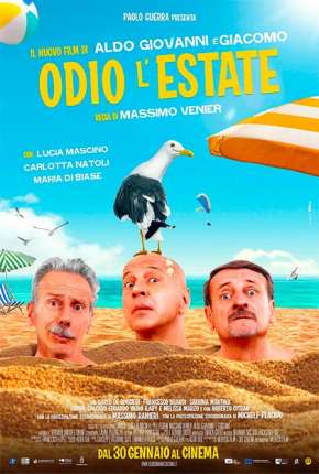 Capa do título semelhante: Loucuras de Verão - Odio lestate