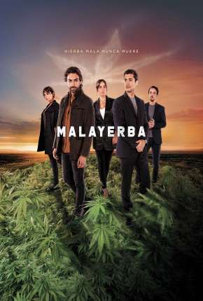 Capa para download torrent de Série MalaYerba - 1ª Temporada