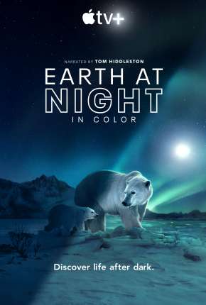 Capa para download torrent de Série Noite na Terra em Cores - 1ª Temporada Completa Legendada