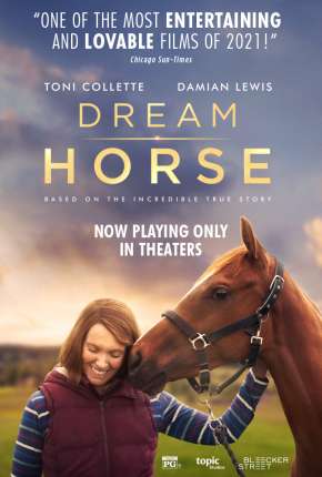 Capa para download torrent de Filme O Cavalo dos Meus Sonhos