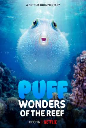 Capa do título semelhante: O Fascinante Mundo dos Corais