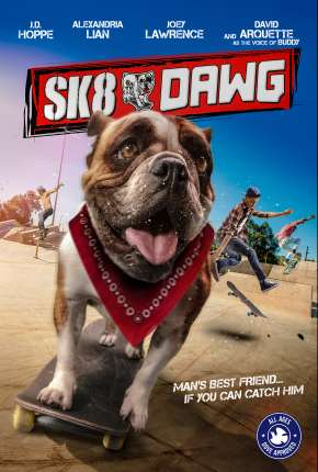 Capa para download torrent de Filme O Radicão