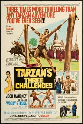 Capa para download torrent de Filme Os Três Desafios De Tarzan