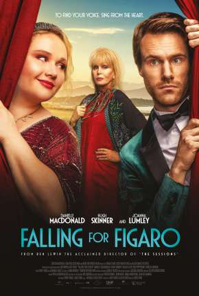 Capa para download torrent de Filme Procurando Fígaro