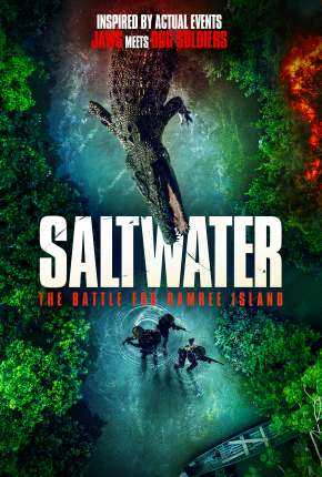 Capa para download torrent de Filme Saltwater - The Battle for Ramree Island - Legendado
