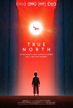 Capa para download torrent de Filme Sem Norte