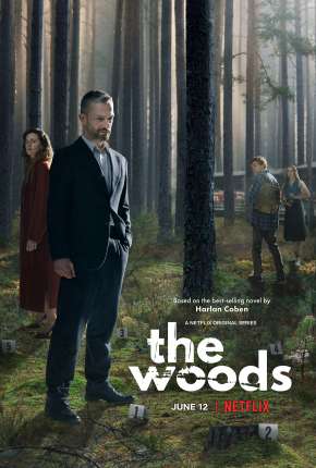 Capa para download torrent de Série Silêncio na Floresta - 1ª Temporada Completa