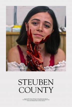 Capa para download torrent de Filme Steuben County - Legendado
