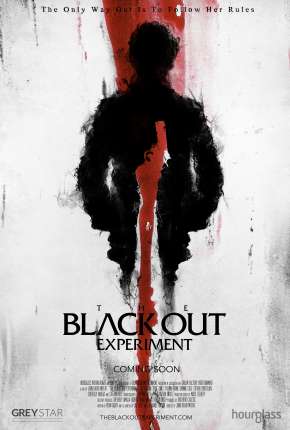 Capa para download torrent de Filme The Blackout Experiment - Legendado