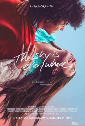 Capa para download torrent de Filme The Sky Is Everywhere - Legendado