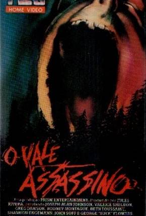 Capa do título semelhante: O Vale Assassino - Berserker Legendado