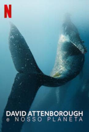 Capa para download torrent de Filme David Attenborough e Nosso Planeta