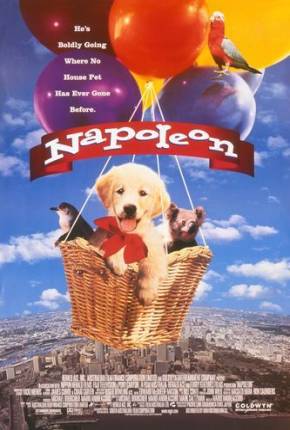 Capa para download torrent de Filme Napoleon, as Aventuras de um Cãozinho Valente