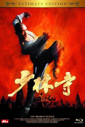 Capa para download torrent de Filme O Templo de Shaolin - Os Herdeiros de Shaolin / O Templo dos Campeões