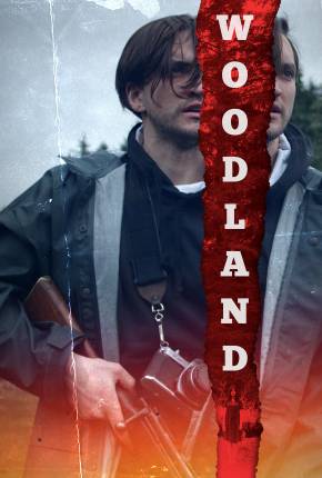 Capa para download torrent de Filme Premonições em Woodland