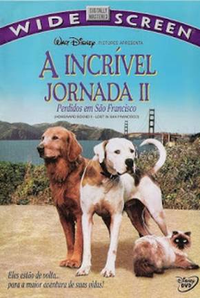 Capa para download torrent de Filme A Incrível Jornada 2 - Perdidos em São Francisco
