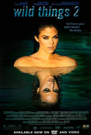 Capa para download torrent de Filme Garotas Selvagens 2