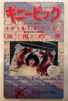 Capa do título semelhante: Guinea Pig 2: Flowers of Flesh e Blood  - Legendado